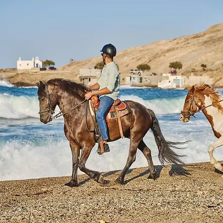 شقة Superior Beachfront 1 With View To The Aegean Sea بانورموس ميكونو